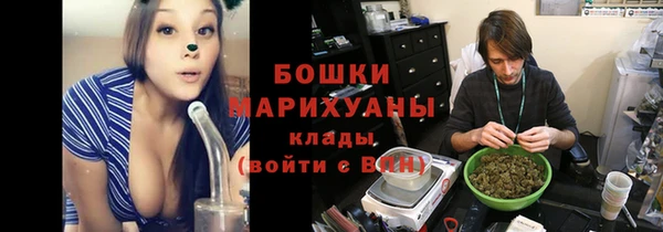 молекула духа Гусиноозёрск