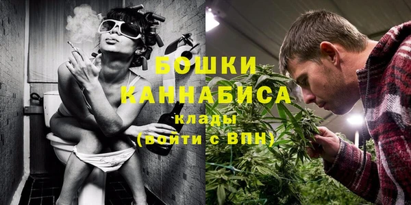 молекула духа Гусиноозёрск