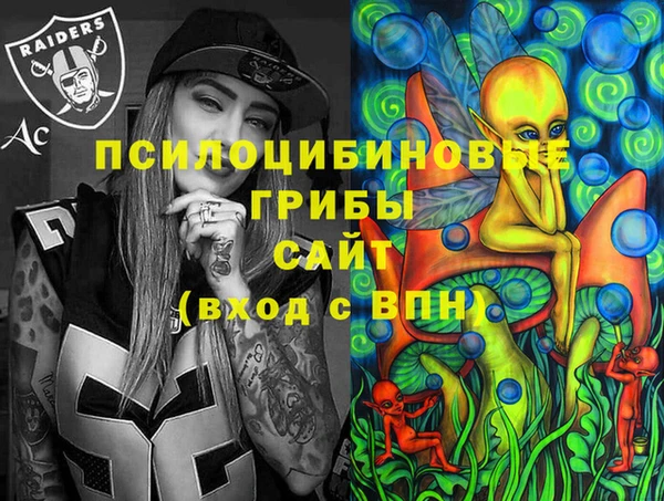 молекула духа Гусиноозёрск