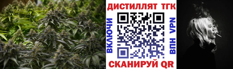 Купить закладки  Ивангород  ТГК жижа 