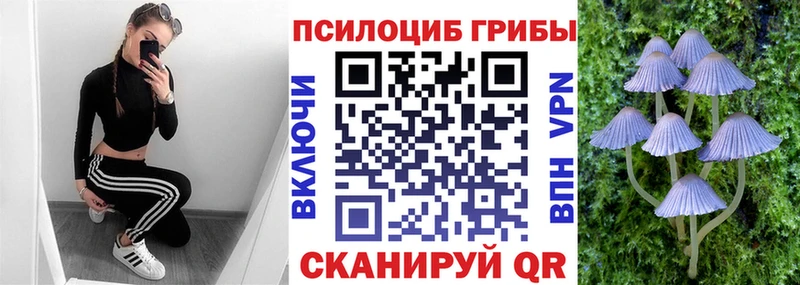Купить закладки  Ивангород  Галлюциногенные грибы Psilocybe 